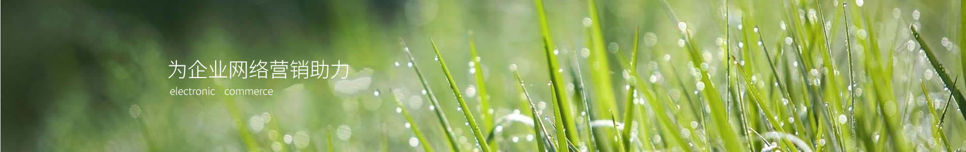 ӱٽܻƼ޹˾